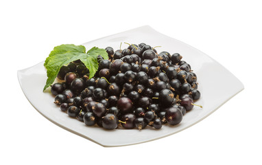 Black currant