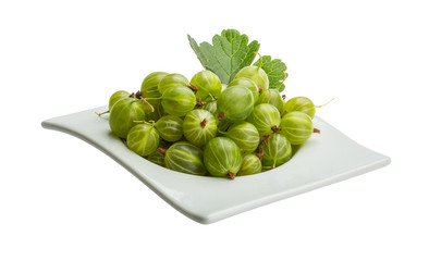 Gooseberry