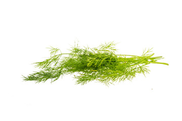 Dill branch