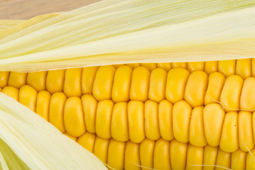 Corn
