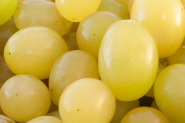 white grapes