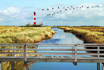 Herbst in Nordfriesland