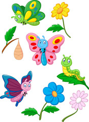 Cartoon butterfly, caterpillar and cocoon