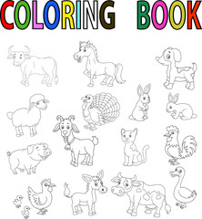 Fototapeta premium Farm animal coloring book