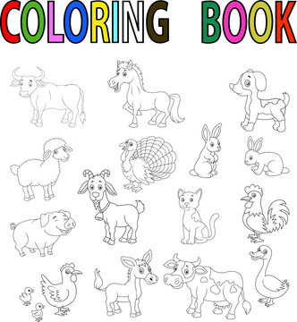 Farm animal coloring book