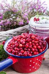 Lingonberries