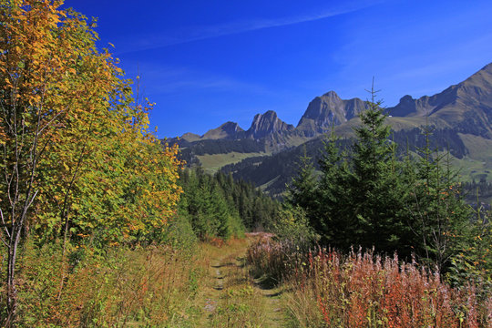 gantrisch schweiz