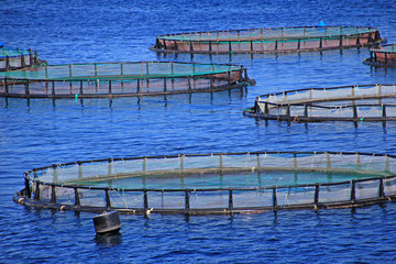 fischzucht auf korfu griechenland
