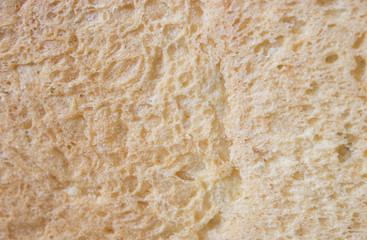background white porous soft bread