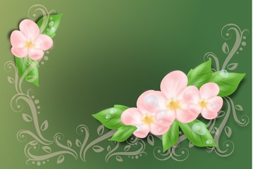 Background with cherry blossom