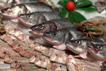 Details of fresh fishes on the counter