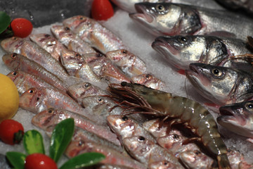 Details of various fishes on the counter