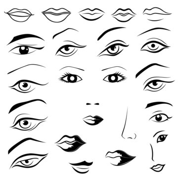 Human eyes, lips, eyebrows and noses