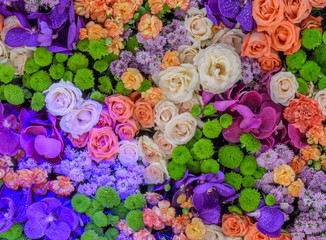 Colorful flower background of rose, chrysanthemum, carnation and
