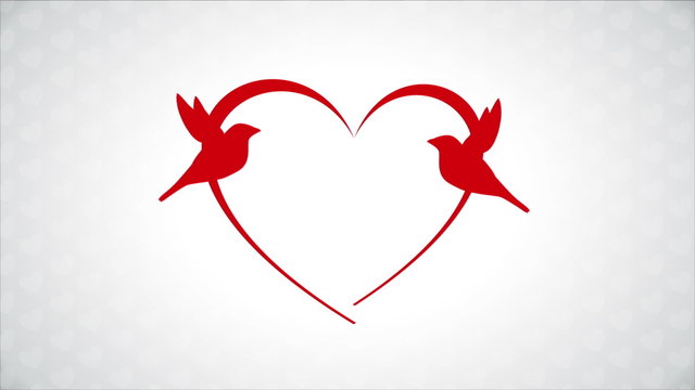 Red birds in love, heart Animation Design, HD 1080