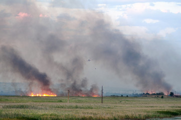 Fototapeta na wymiar In the burning reeds. A helicopter tries to extinguish