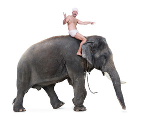 cheerful mahout rides on an elephant