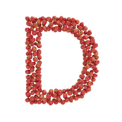 illustration of letters from apples