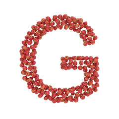 illustration of letters from apples