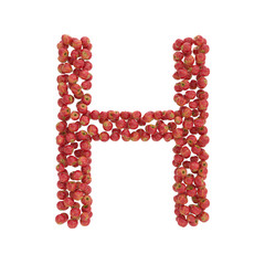 illustration of letters from apples