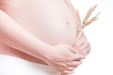 Pregnant Woman Belly. Pregnancy Concept. Isolated on a White Bac