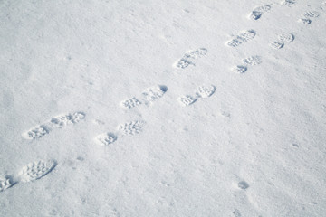 Shoeprints in the snow