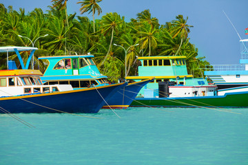 Fototapeta na wymiar Rest in Paradise - Malediven - Hafen, Palmen und Meer