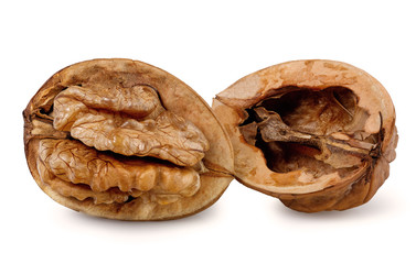 Walnut on white background