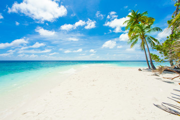 Rest in Paradise - Malediven - Palmenstrand, Himmel und Meer