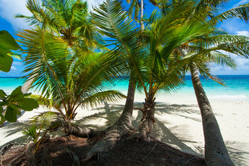 Fototapeta na wymiar Rest in Paradise - Malediven - Palmen, Himmel und Meer