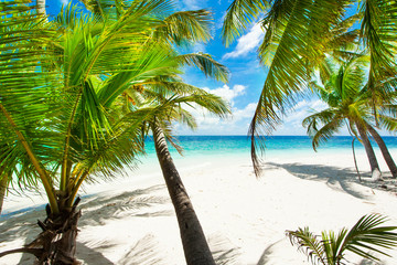 Rest in Paradise - Malediven - Palmen, Himmel und Meer