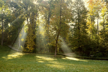 The sun's rays  in autumn park