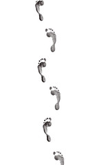 Isolated Human Footprint ,Illustration