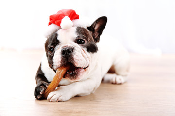 French bulldog with Santa hat in room