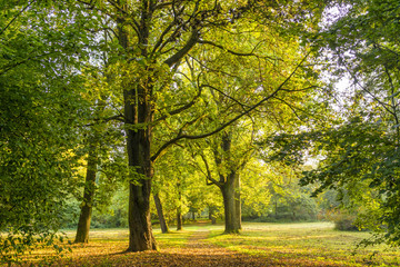 Naklejka premium Herbst 08321