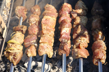 Skewers on barbecue grill, close-up