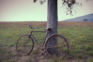 Fototapeta premium Antique or retro oxidized bicycle outside