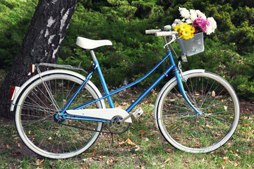 Fototapeta na wymiar Bicycle with flowers in metal basket on park background