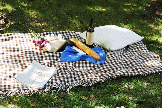 Picnic Snack On Checkered Blanket On Grass In Park