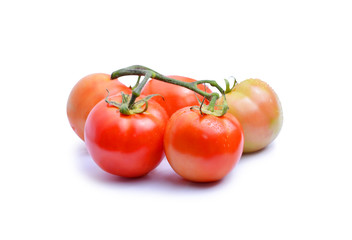tomatoes