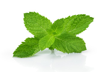 fresh mint leaves