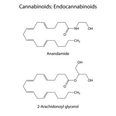 Endocannabinoids - signaling molecules