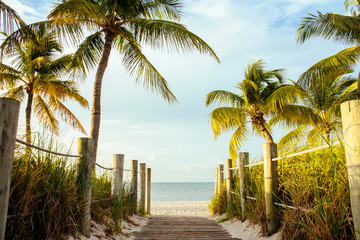 Fototapeta na wymiar Coconut tree on a white sand beach.