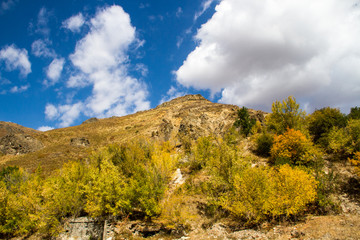 Autumn landscape in the mountains