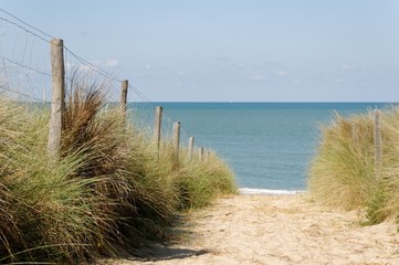 Oléron,un passage dans la dune  vers l'Océan
