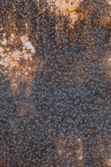 rusty metal texture