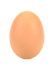 Single brown chicken egg isolated on white