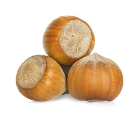 Hazelnuts isolated on a white background