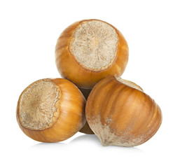 Hazelnuts isolated on a white background