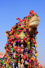 Portrait of decorated camel at Desert Festival, Jaisalmer, India